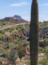 1365 Mountain Ridge Dr photo